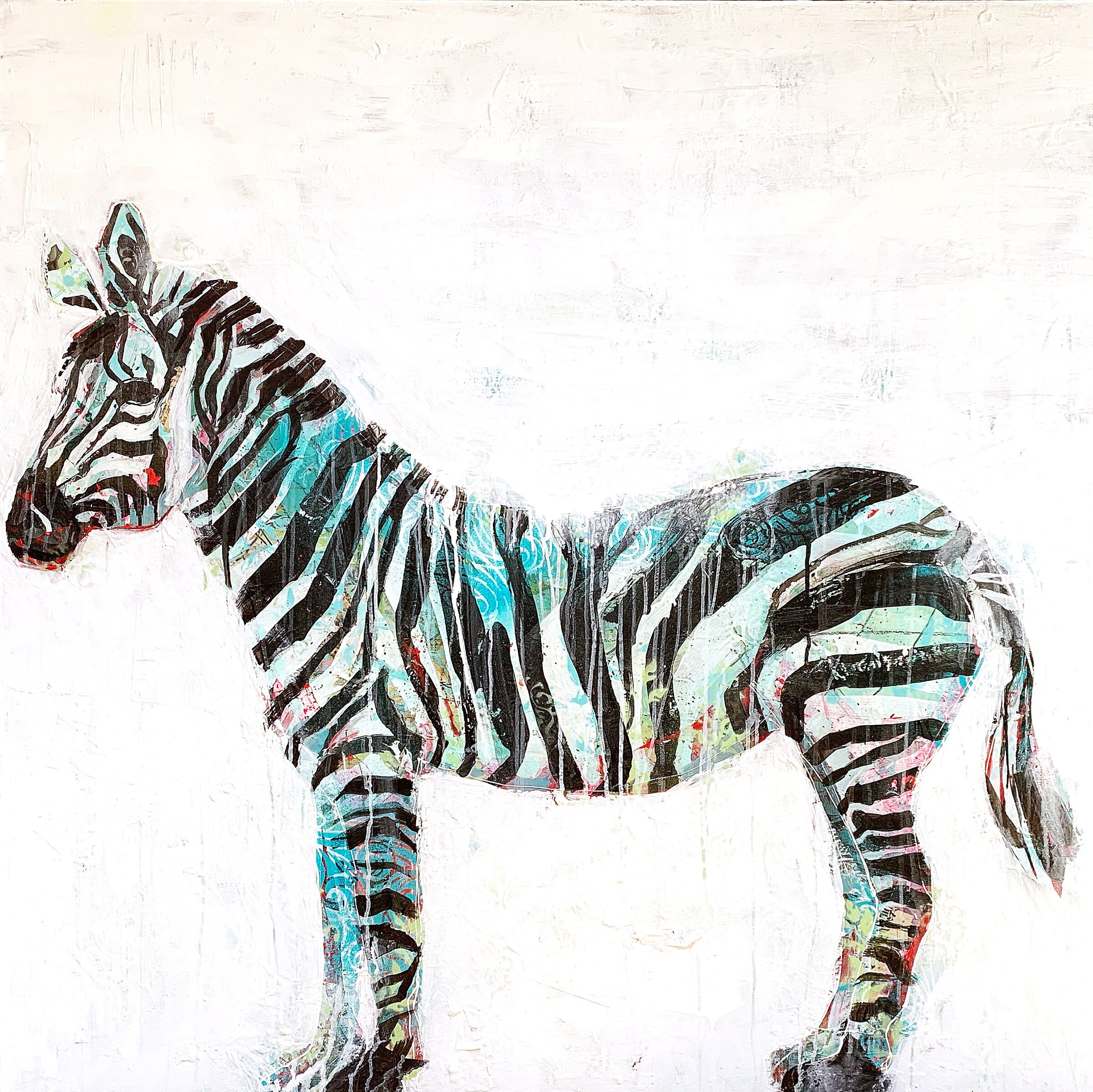 Zebra