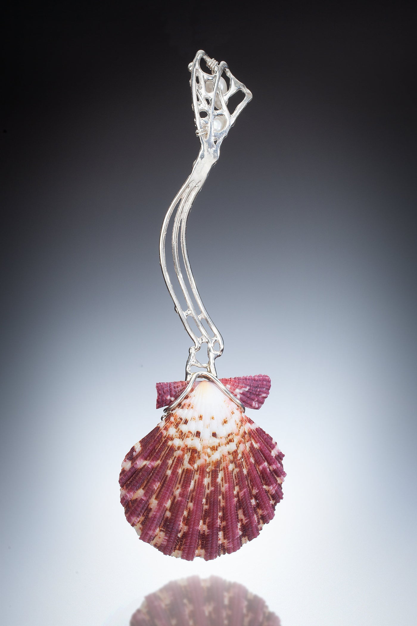 Scallop Shell Spoon | Photo by Ralph Gabriner