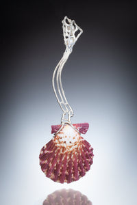 Scallop Shell Spoon | Photo by Ralph Gabriner