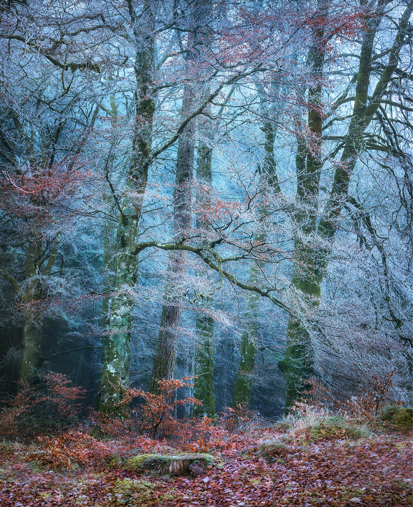 Into the Mystic #2