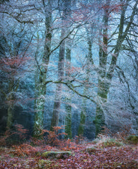 Into the Mystic #2