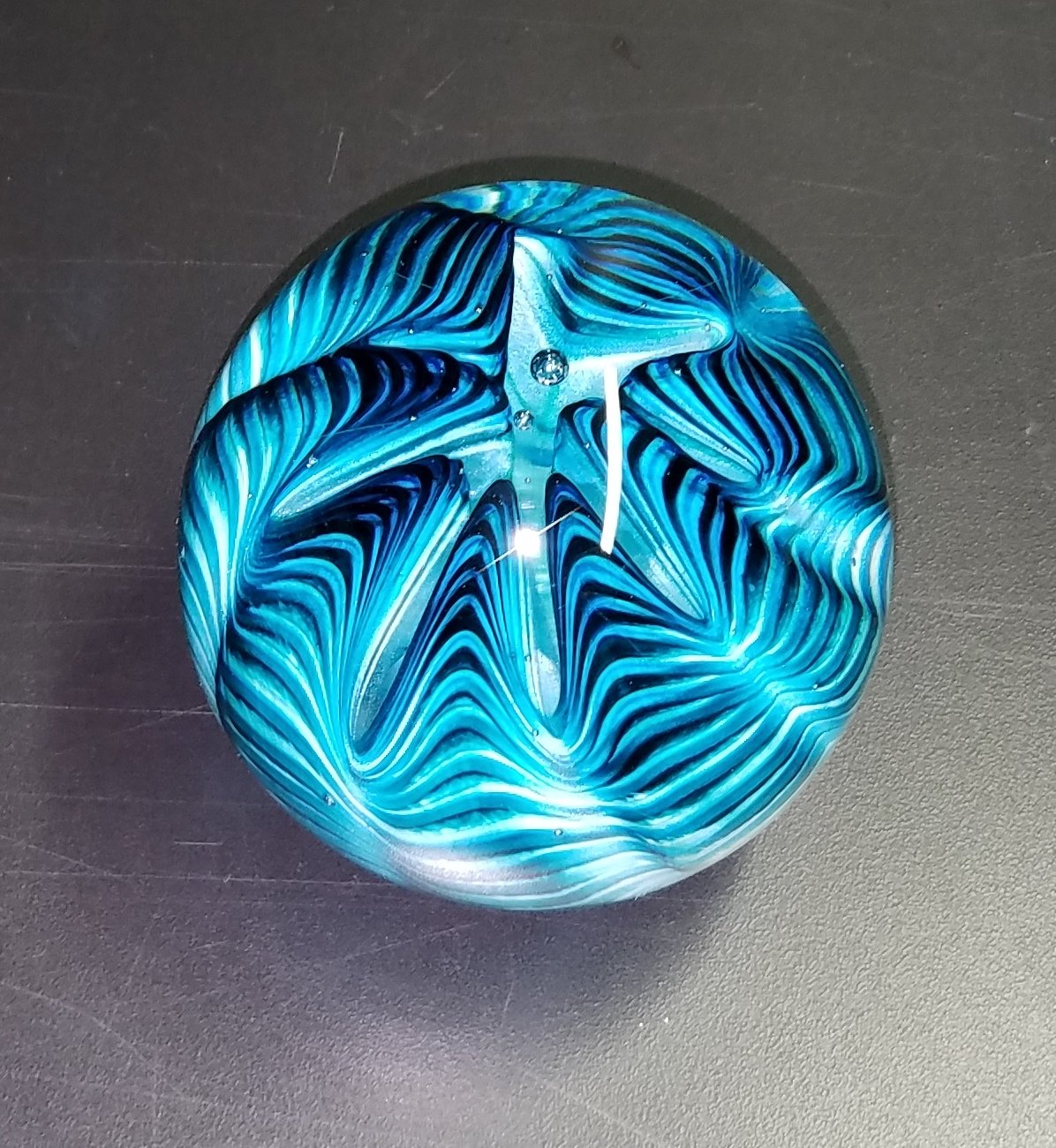 Aqua Sea Urchin