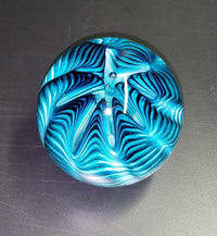 Aqua Sea Urchin