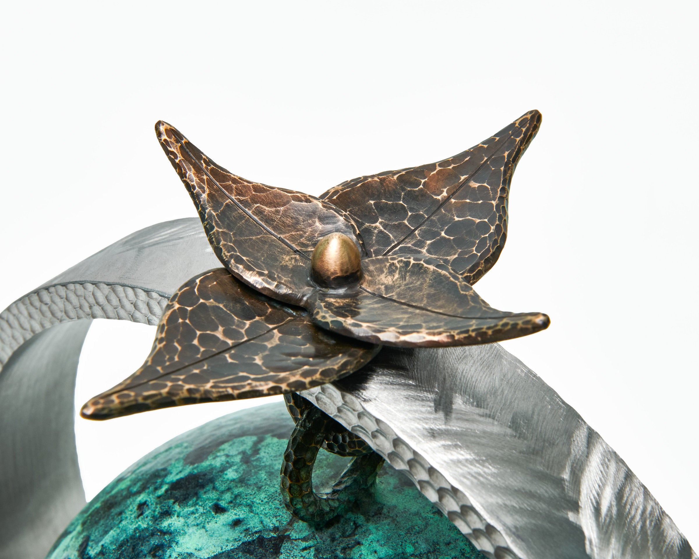 Encompassing a Lotus