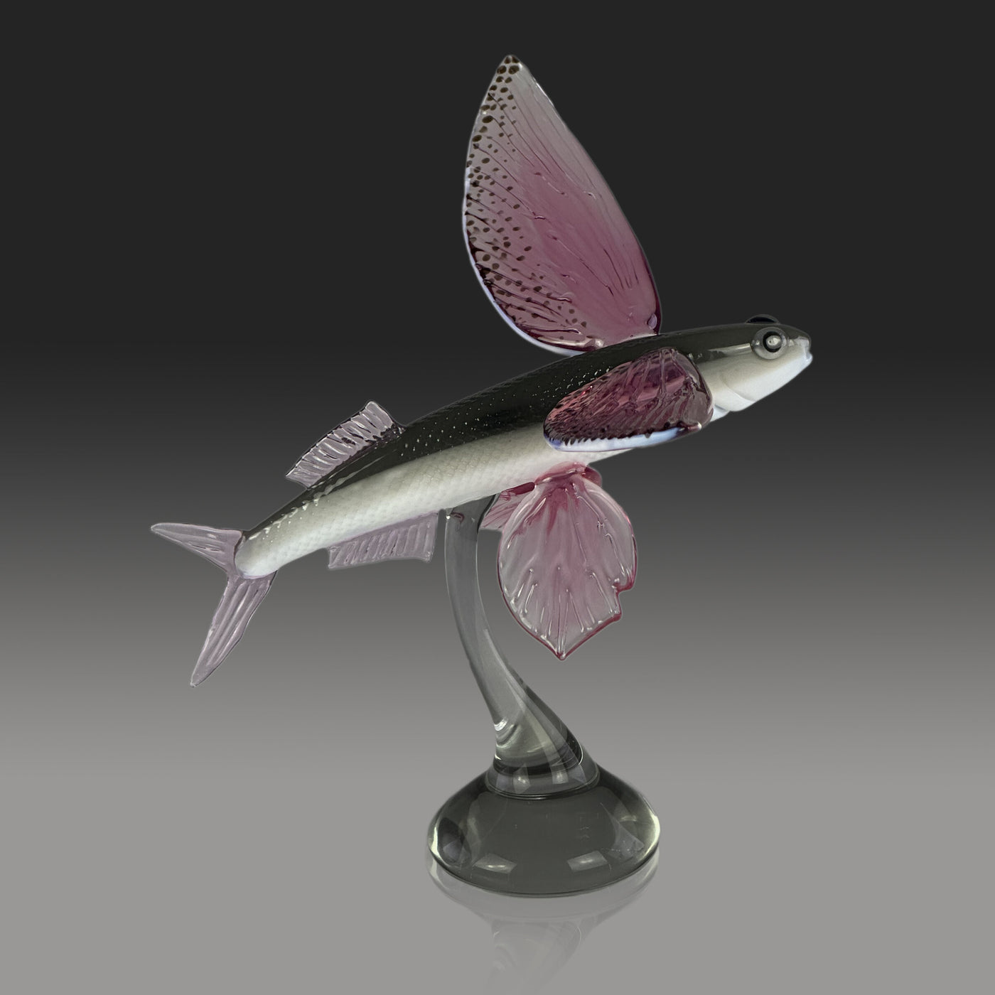 Glider Flying Fish