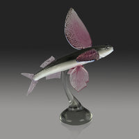 Glider Flying Fish