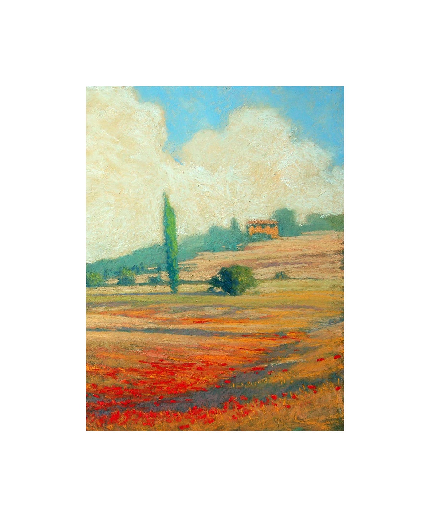 Tuscan Poppy Field