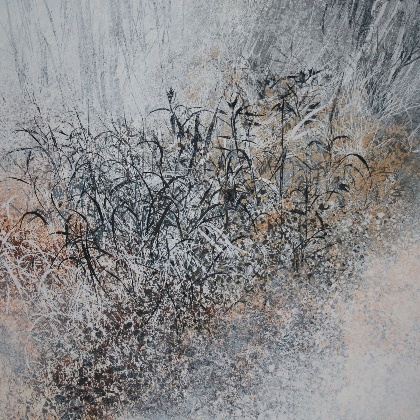 Timeless Meadow