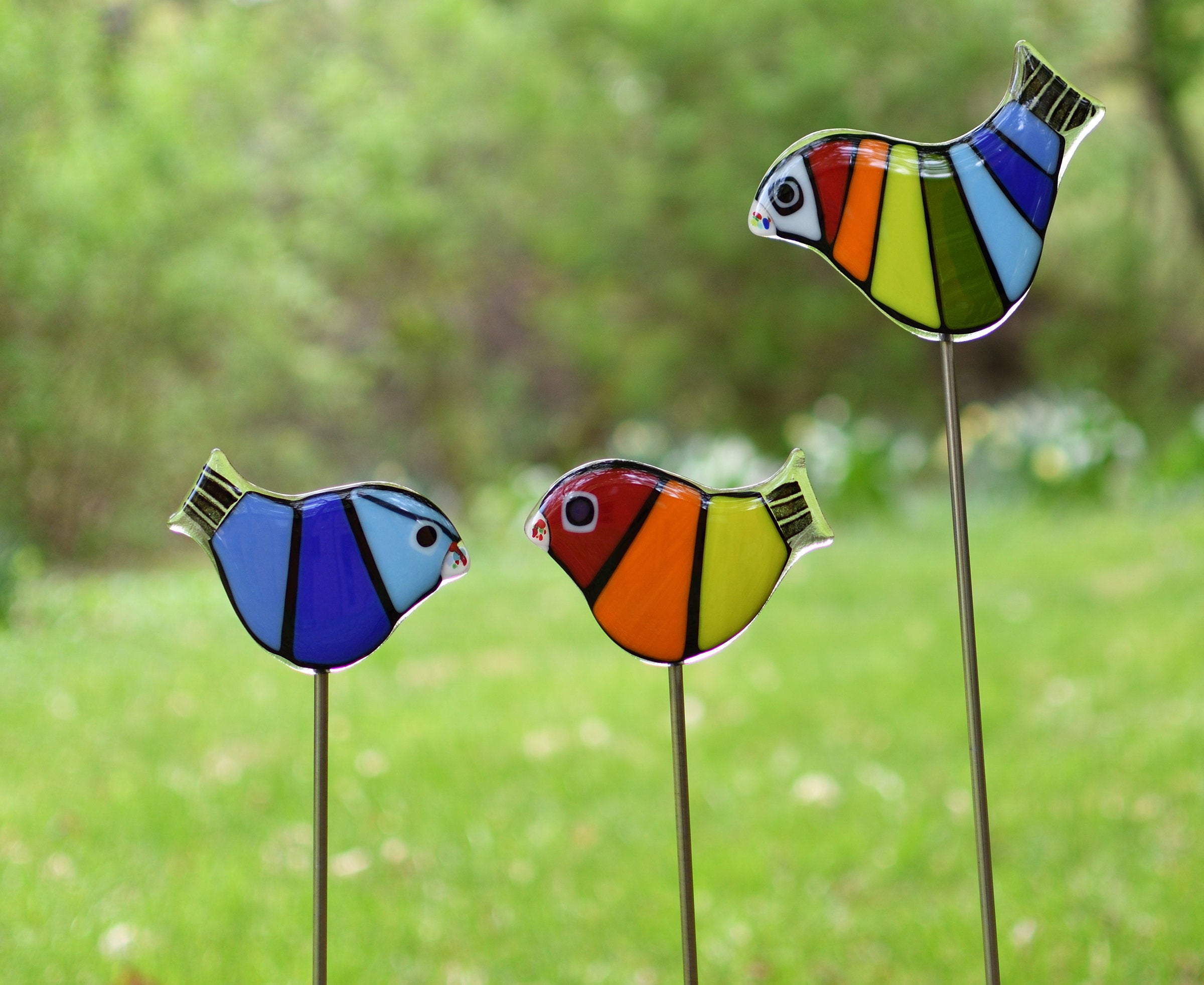 Rainbow Garden Birds