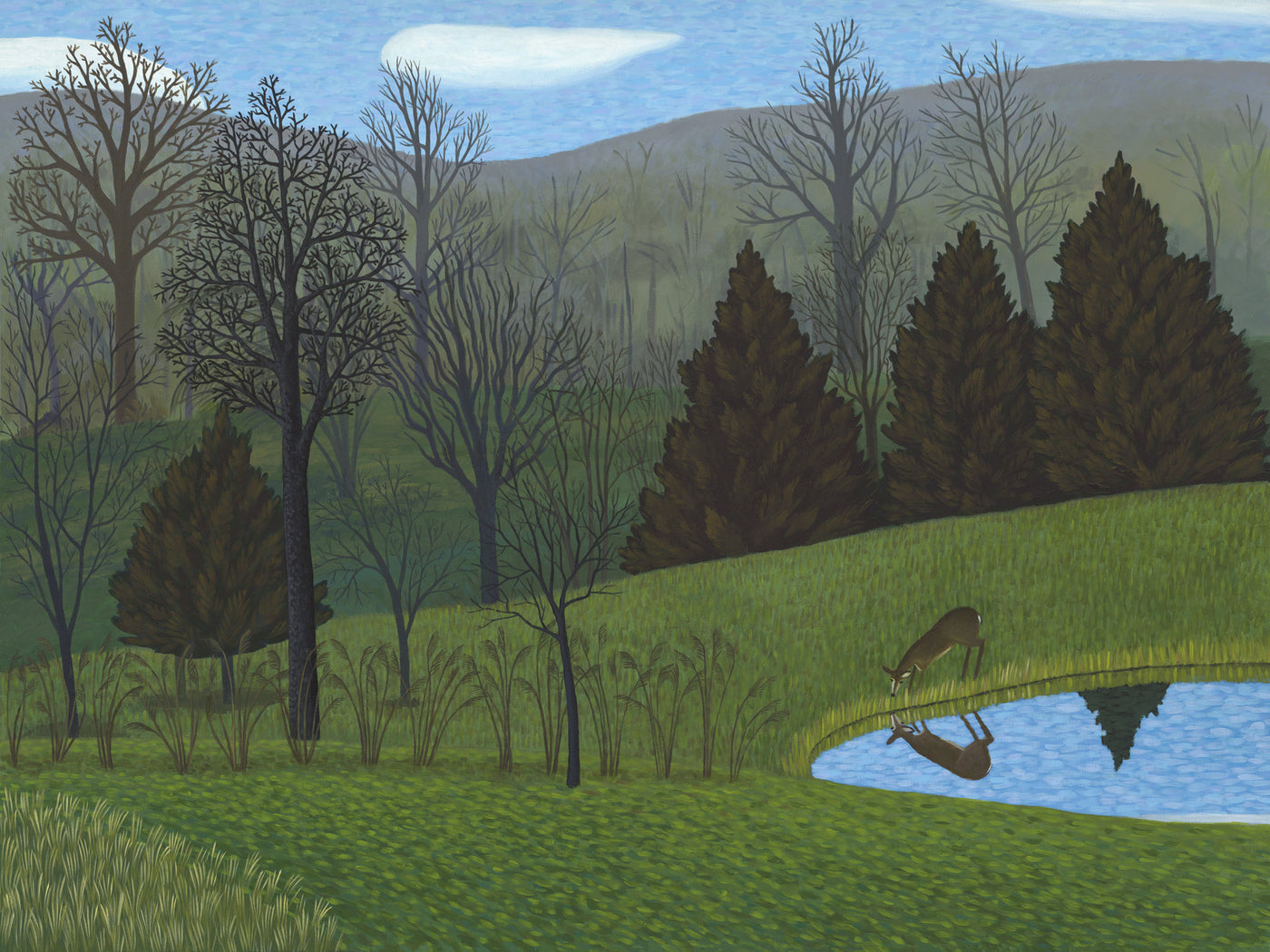 Deer at Pond