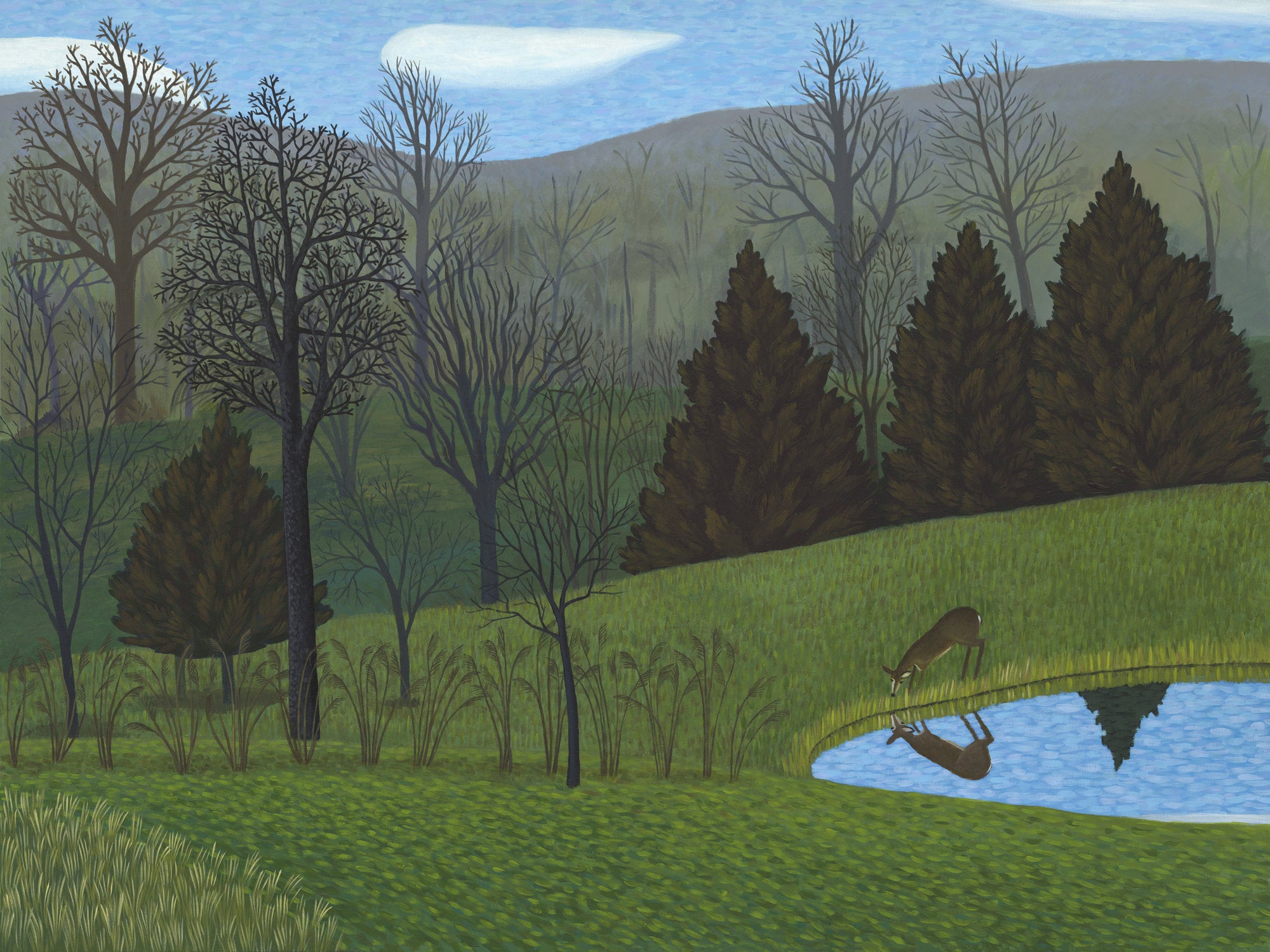 Deer at Pond