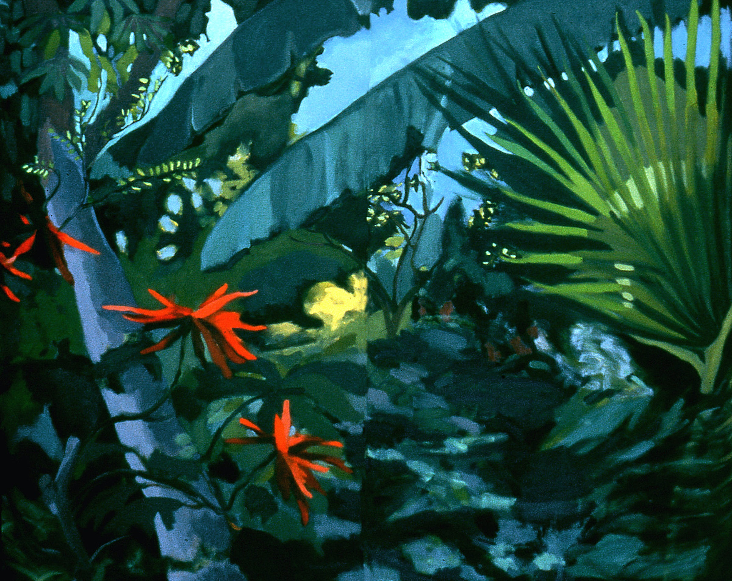 Wind and Tenderness