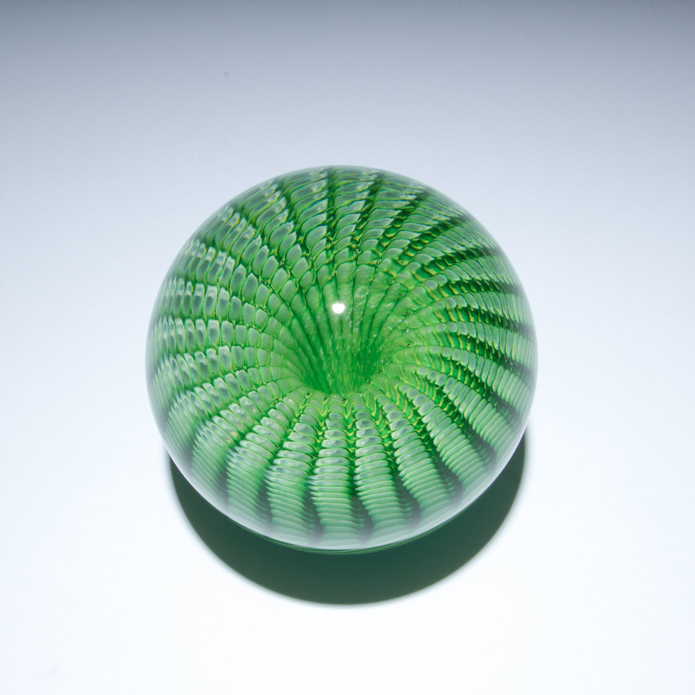 Rattler Paperweight
