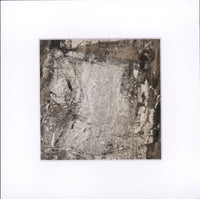 Silver Leaf Sumi Landscape 2
