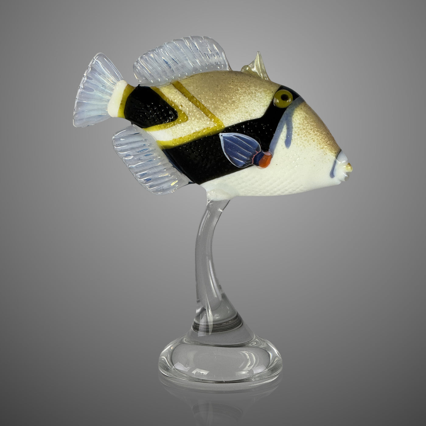 Reef Triggerfish