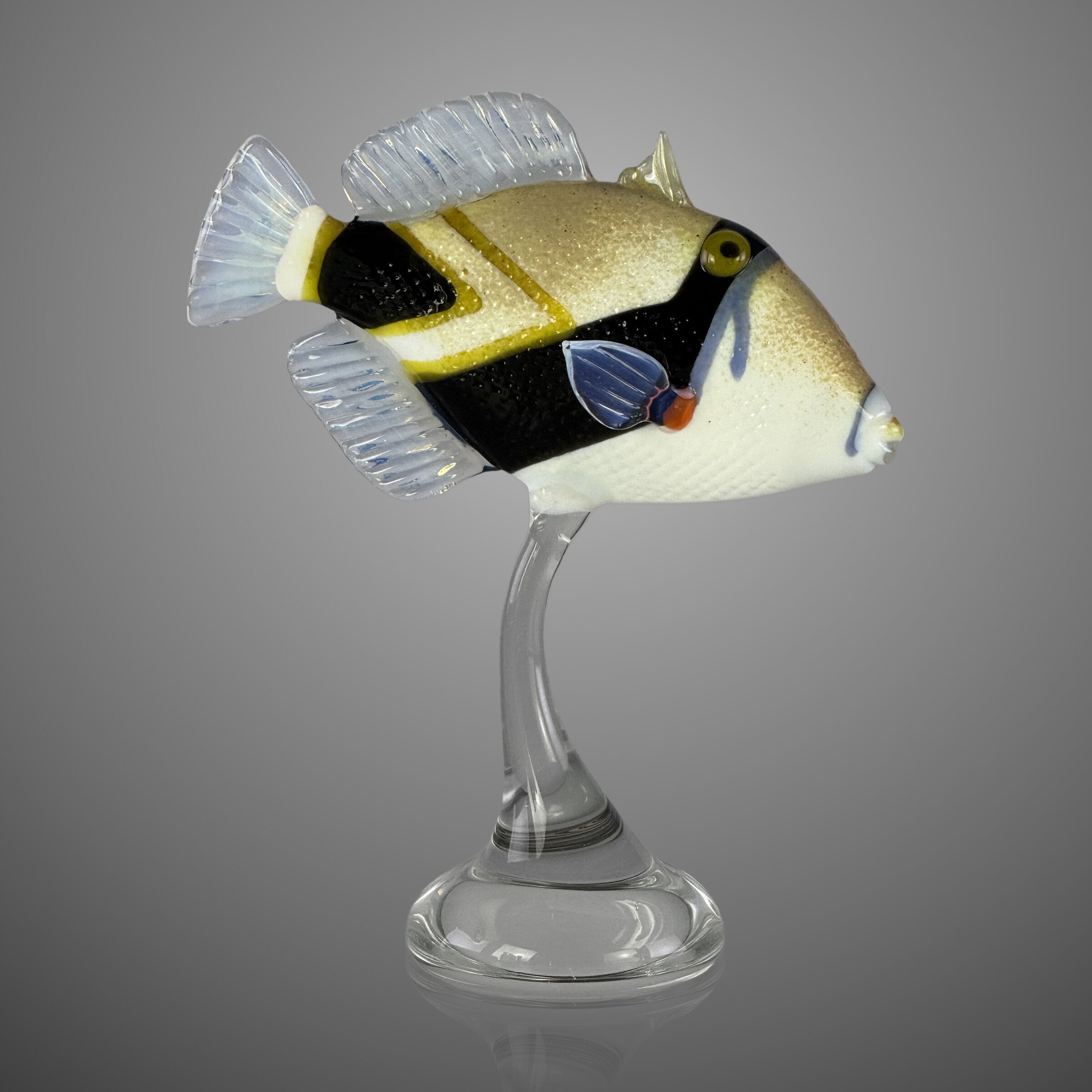 Reef Triggerfish