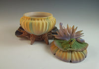 Gold Waterlily Box