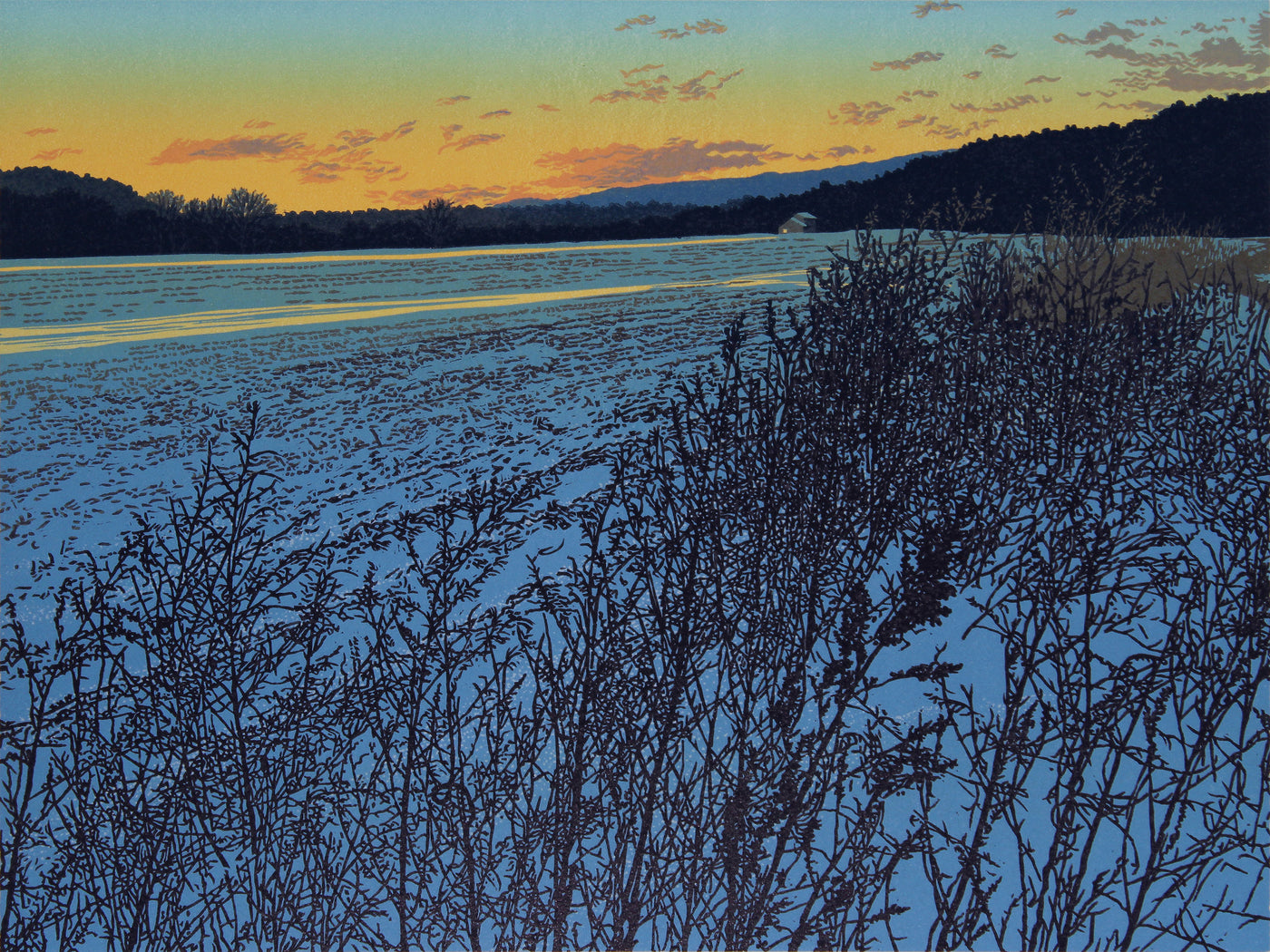Winter Field