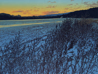 Winter Field