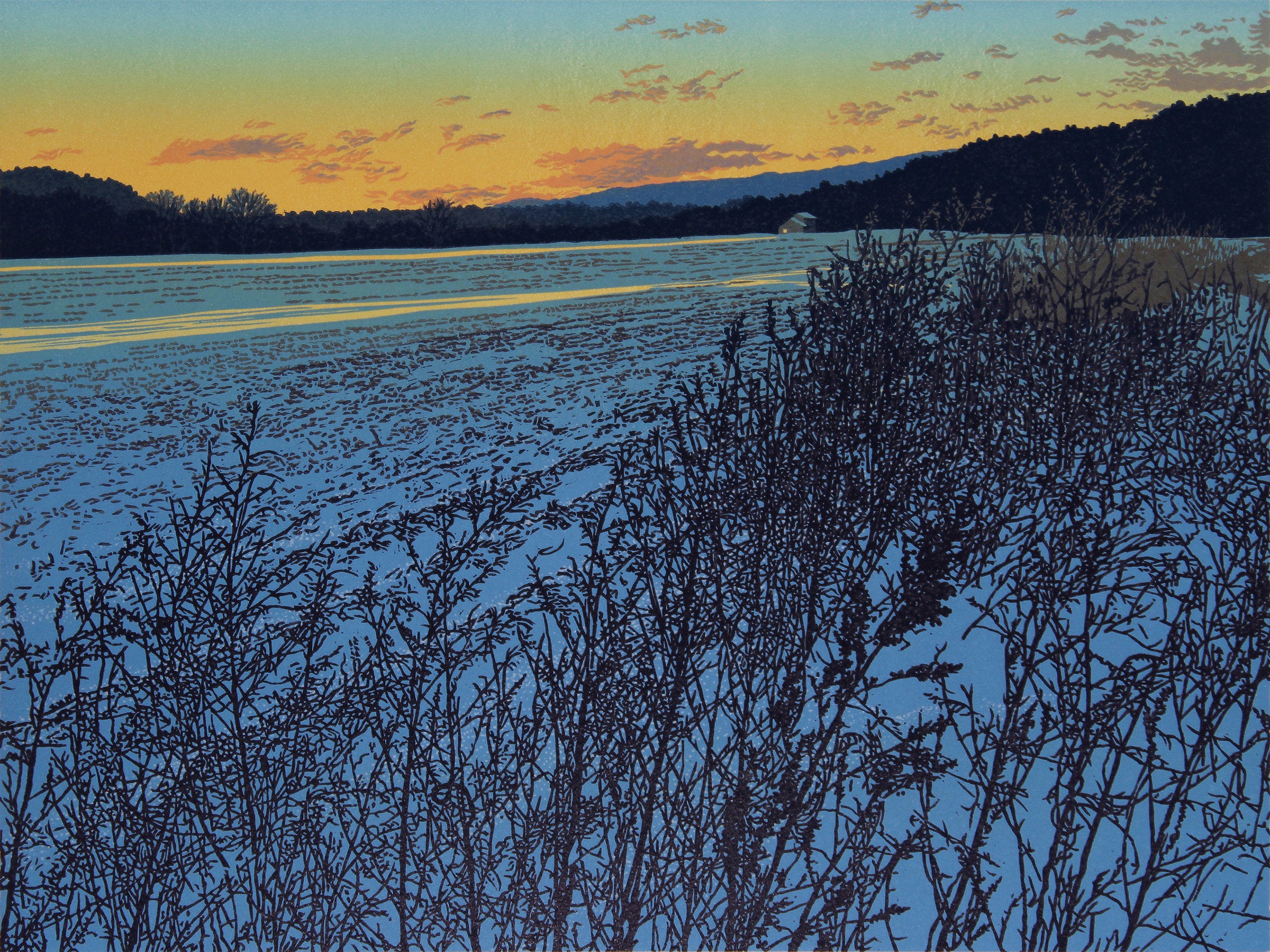 Winter Field