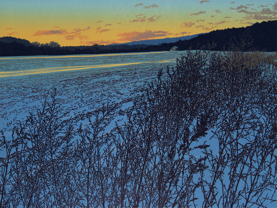 Winter Field