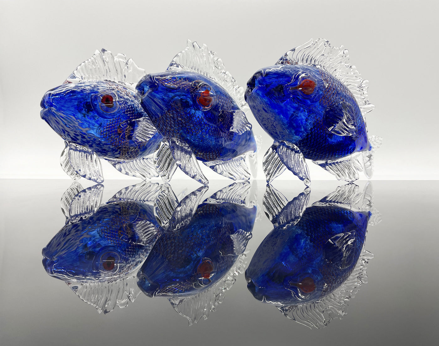 Copperfish