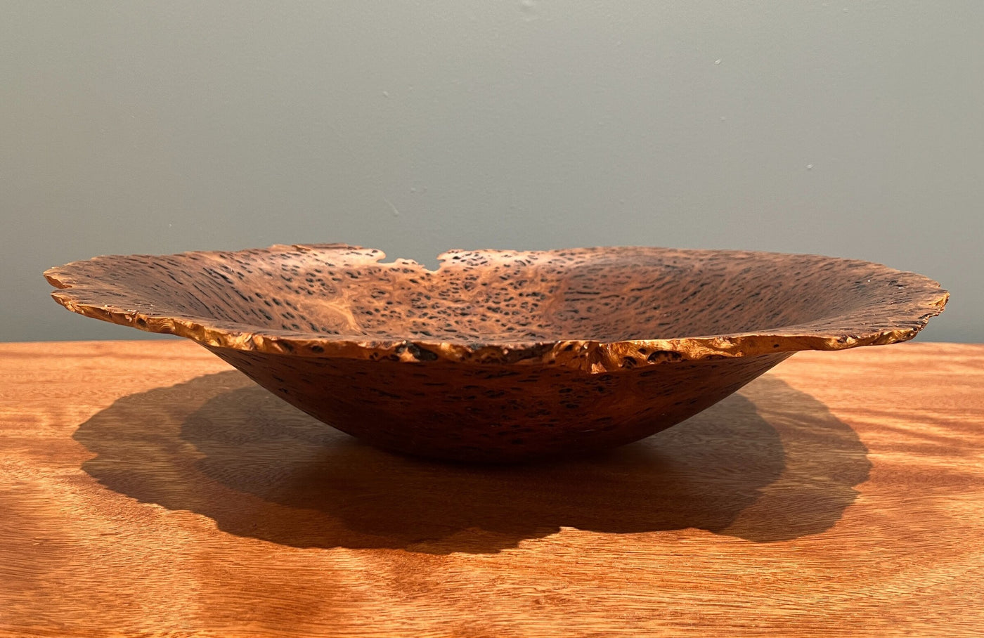 Gimlet Eucalyptus Burl