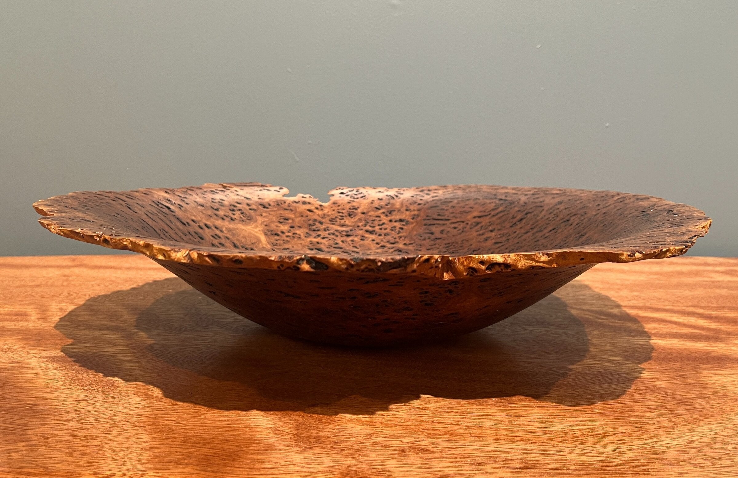 Gimlet Eucalyptus Burl
