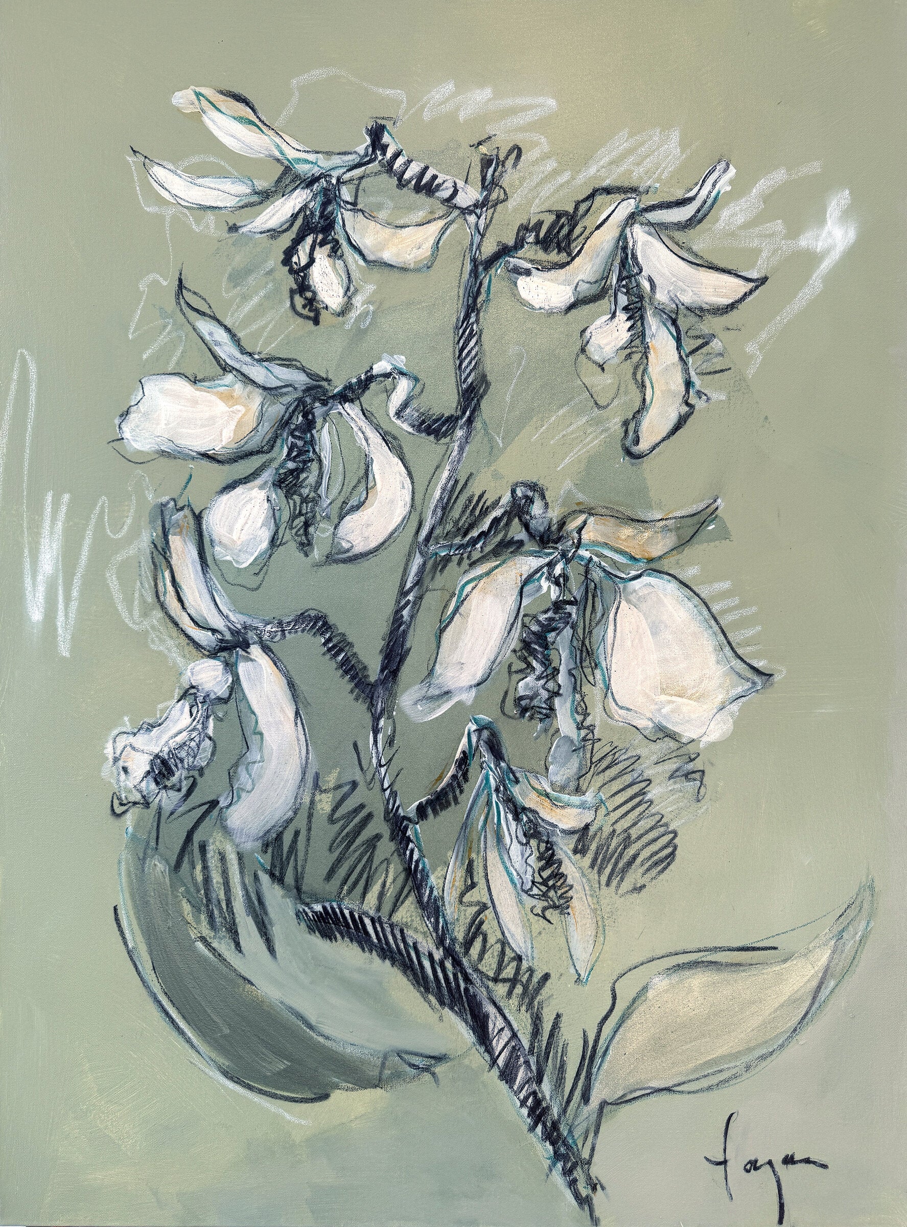 Stargazer: Orchid Essence X