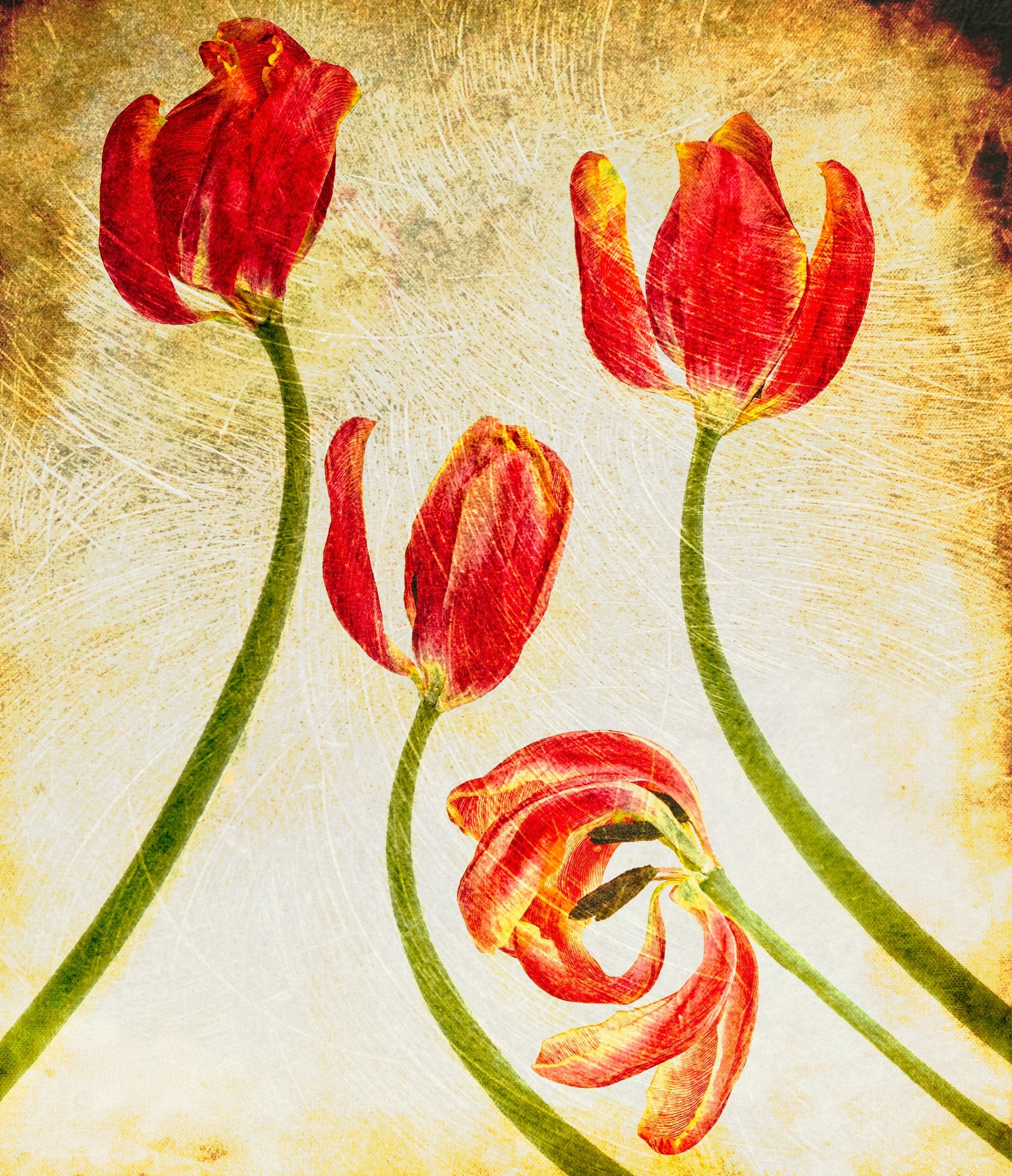 Aging With Grace