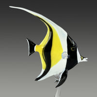 Moorish Idol
