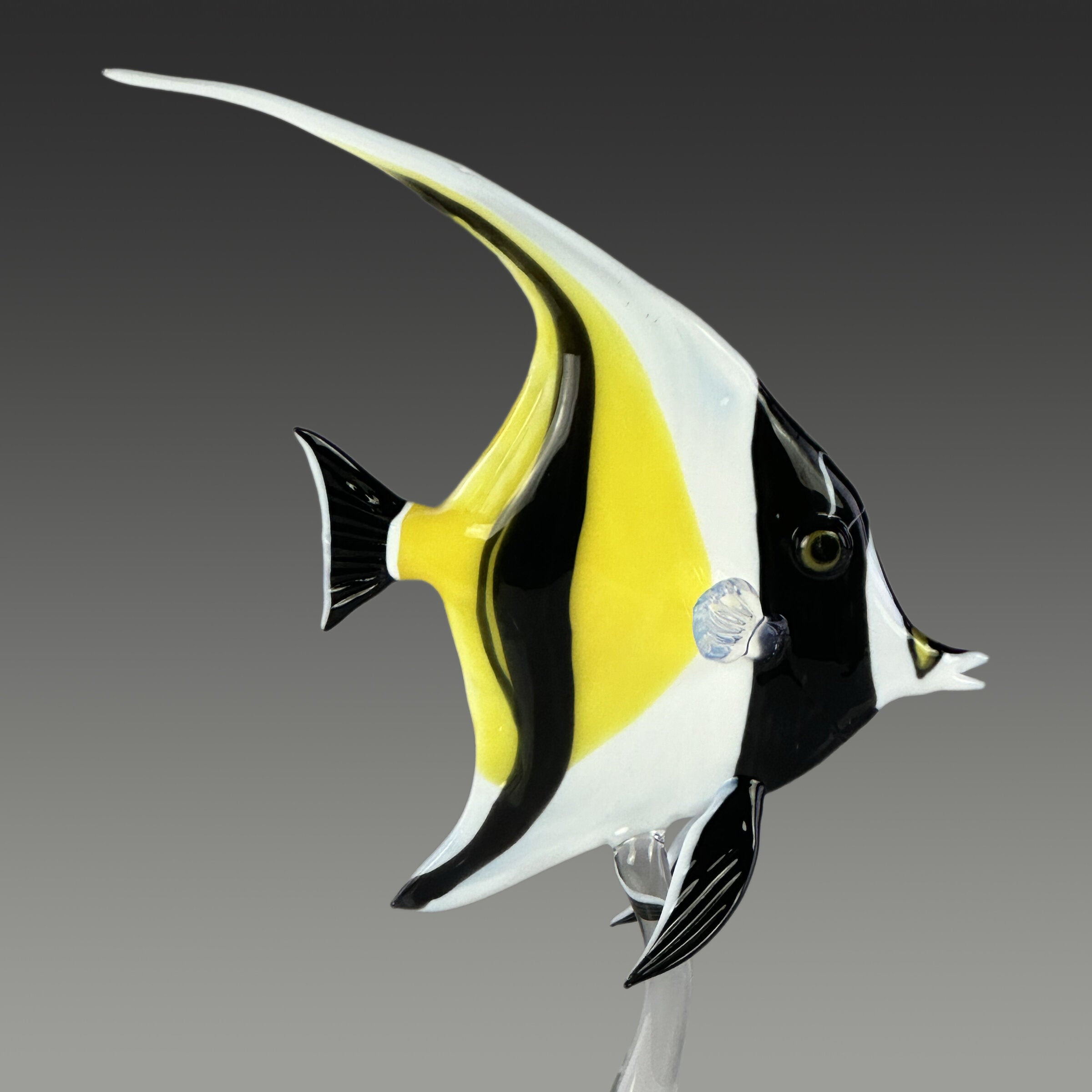 Moorish Idol