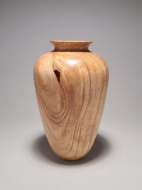 Timeless Forms