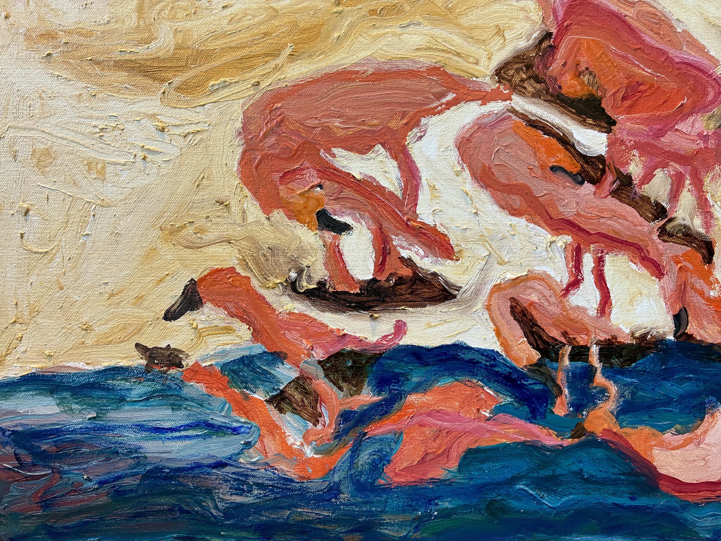 Flamingos
