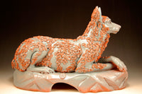 Coyote