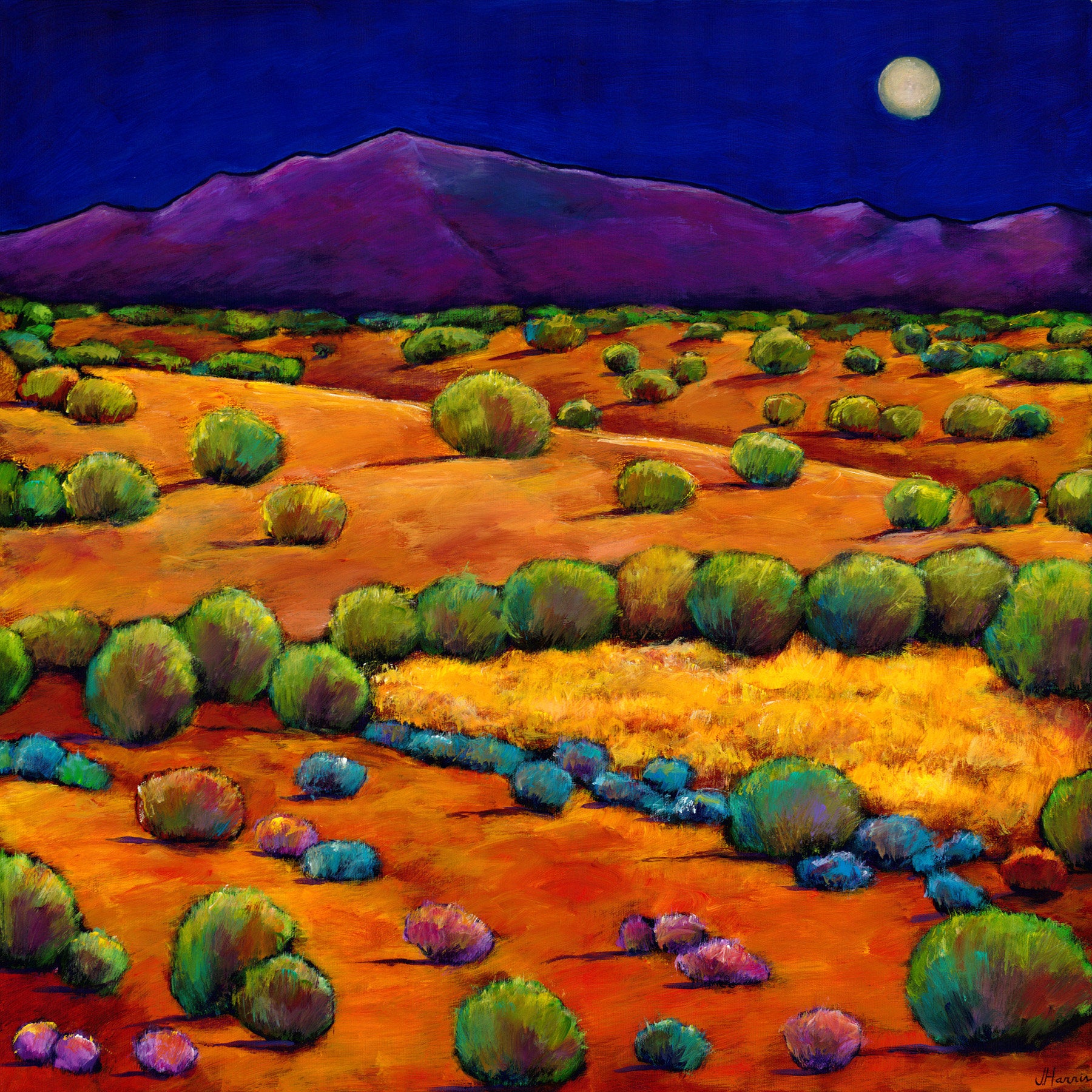 Midnight Sagebrush