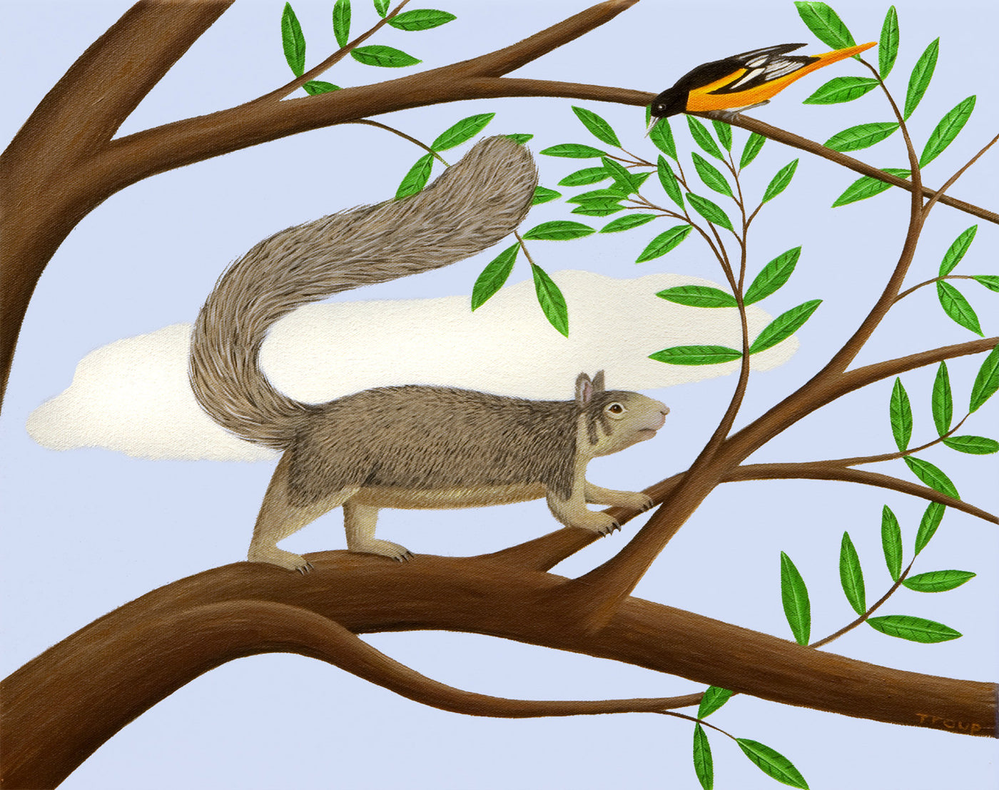Squirrel and Cloud