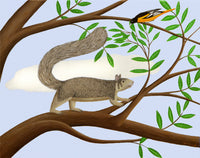 Squirrel and Cloud