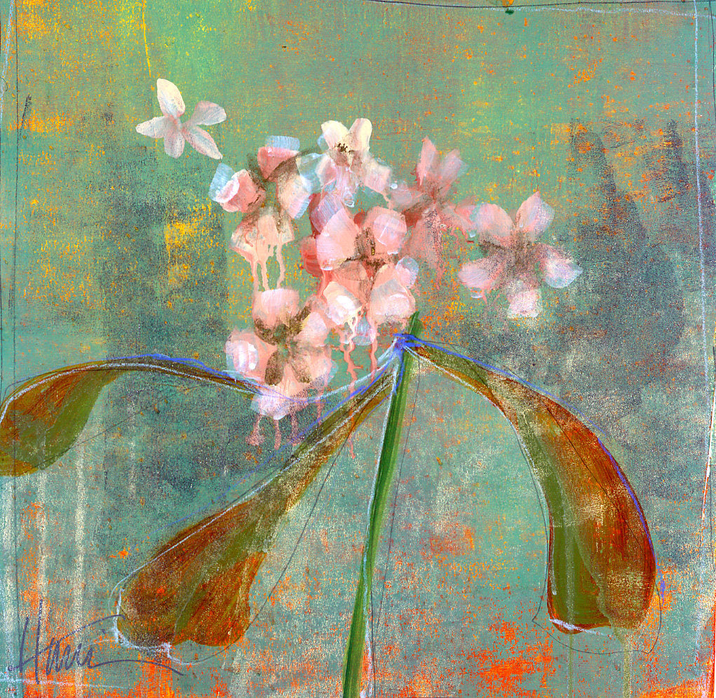 Orchid Study 1