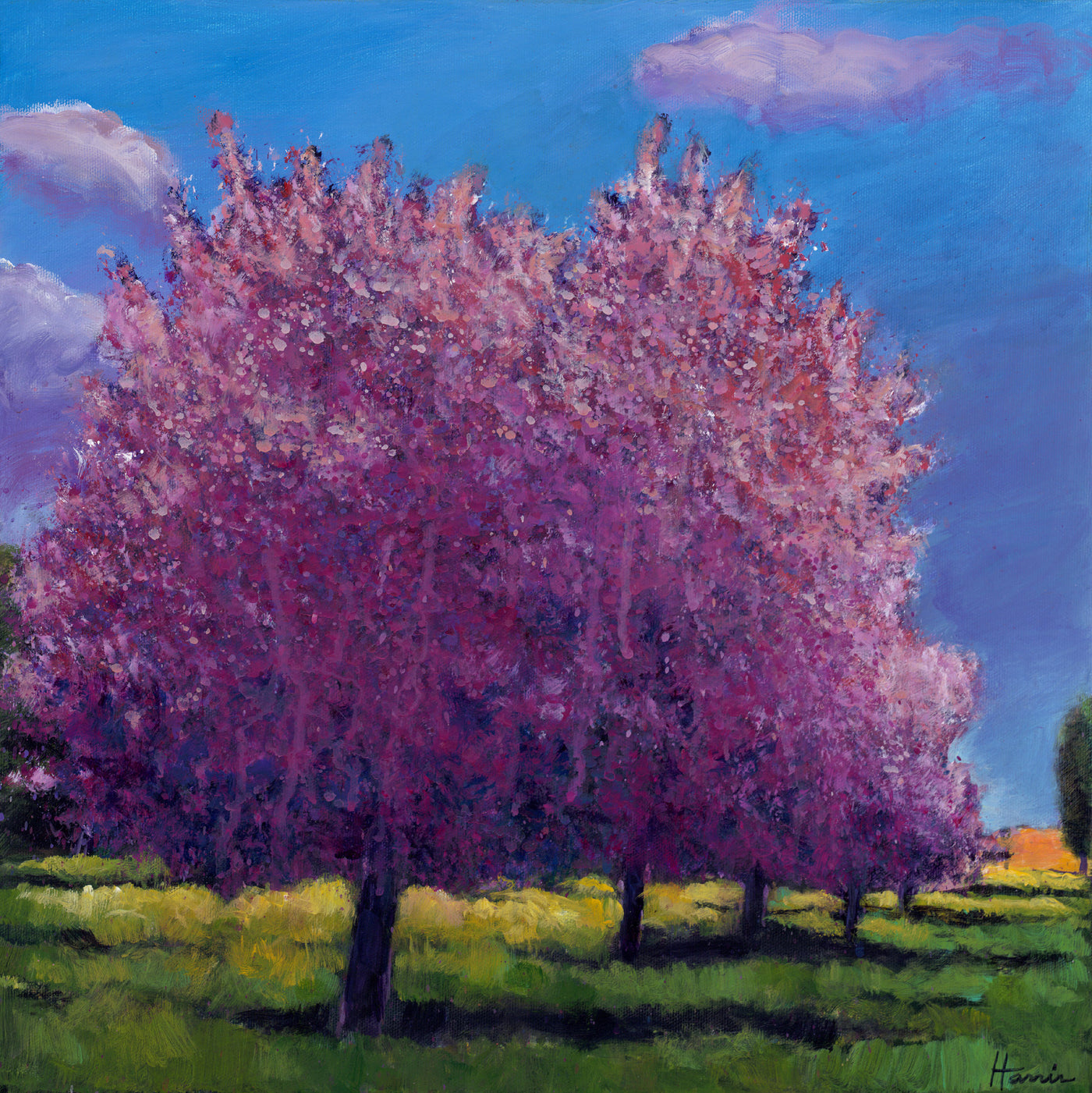 Cherry Blossom Day