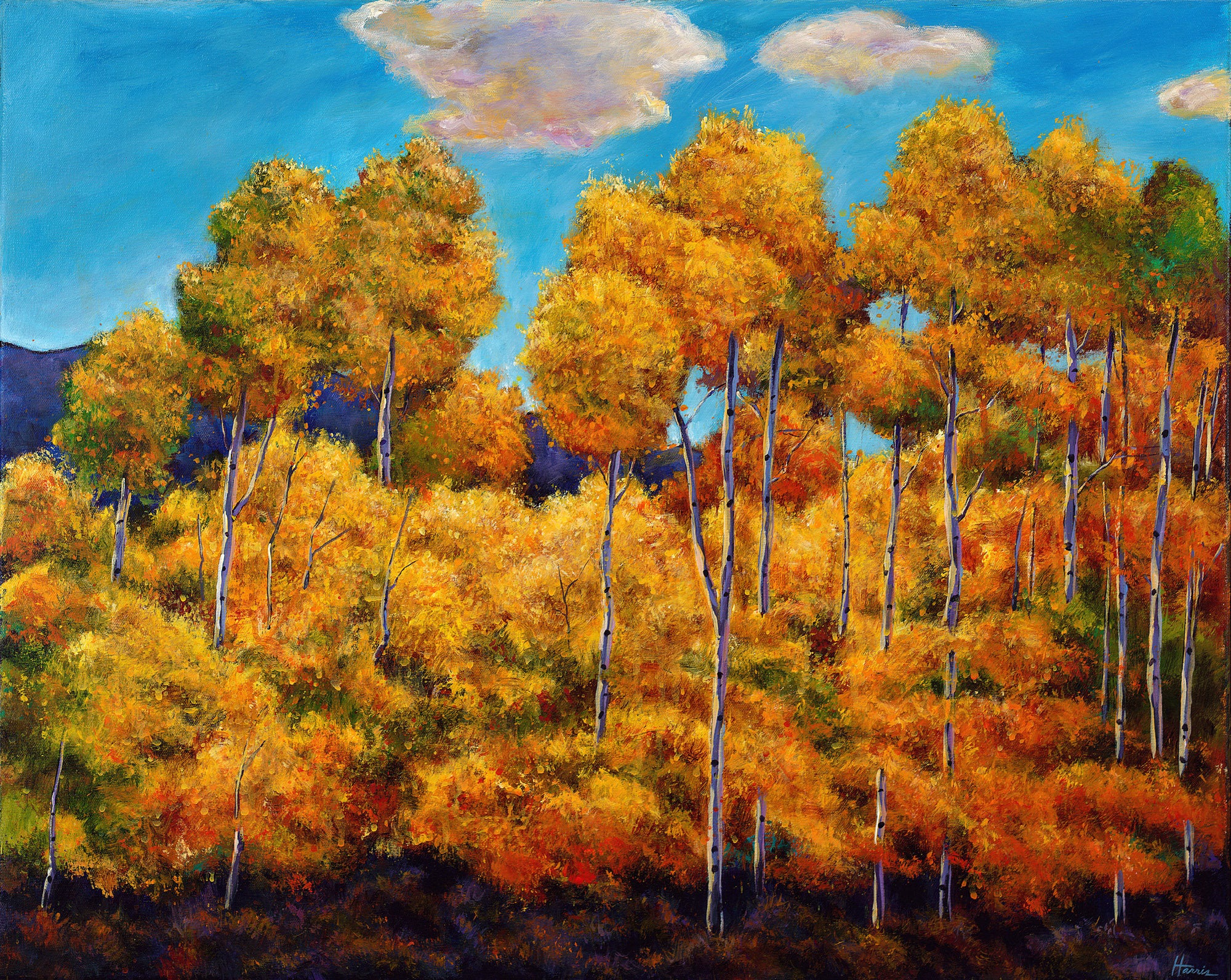 Aspen Evanescence