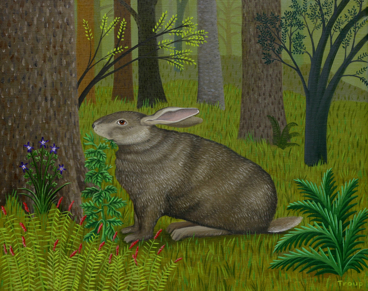 The Rabbit