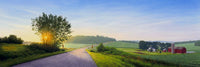 Winding Summer Road