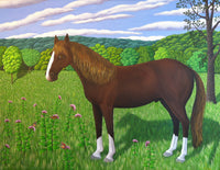 Horse, Milkweed & Monarchs