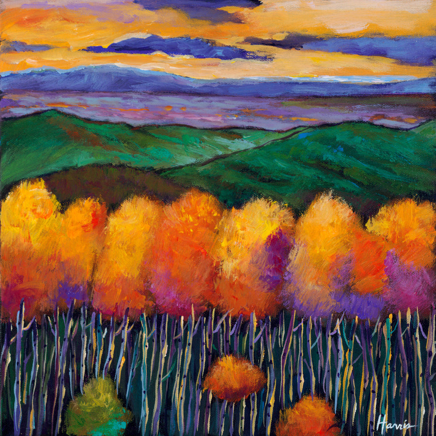 Aspen Nightfall