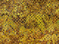 A Plague of Locusts