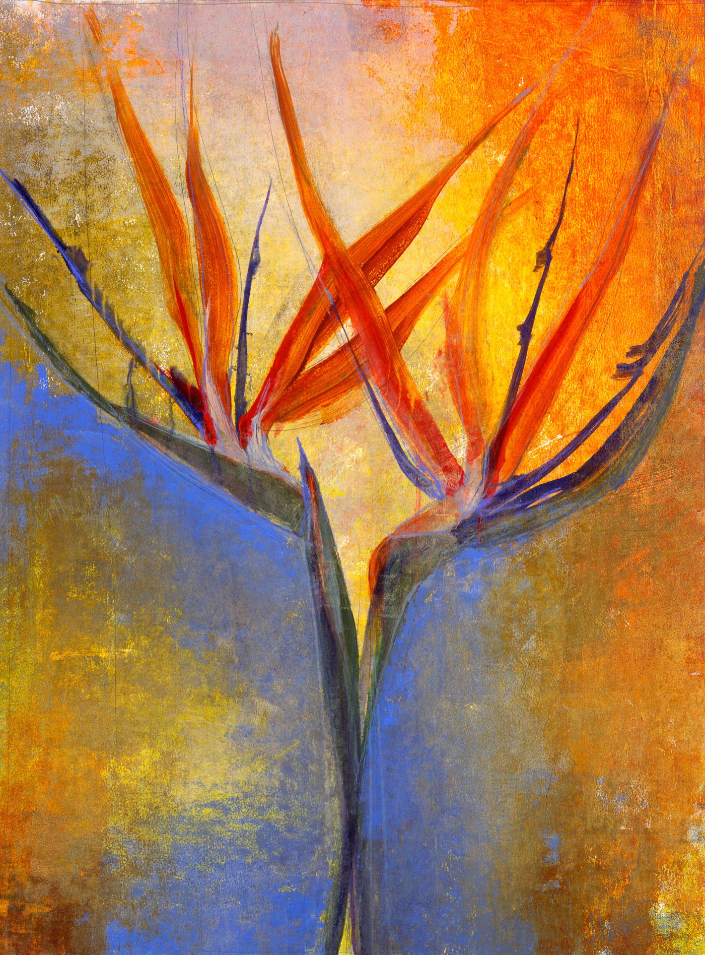 Paradisio II