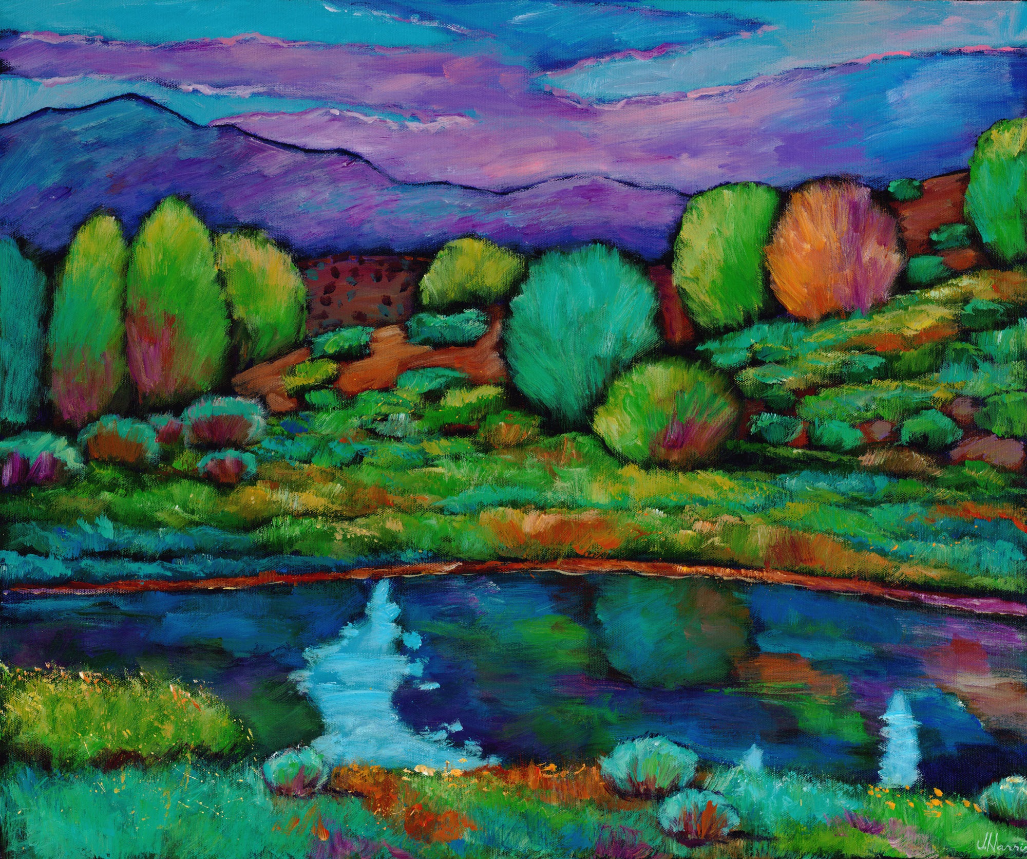 Oasis