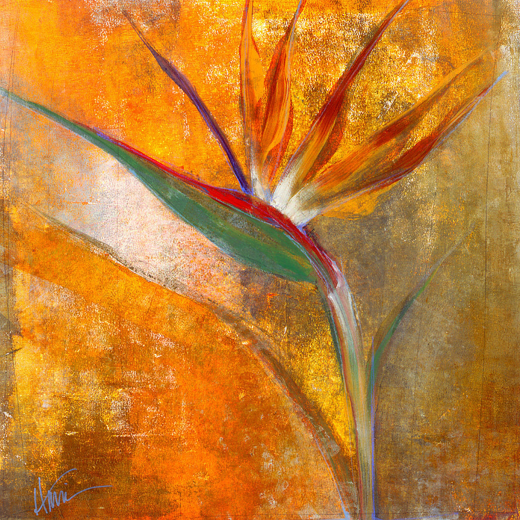 Bird of Paradise