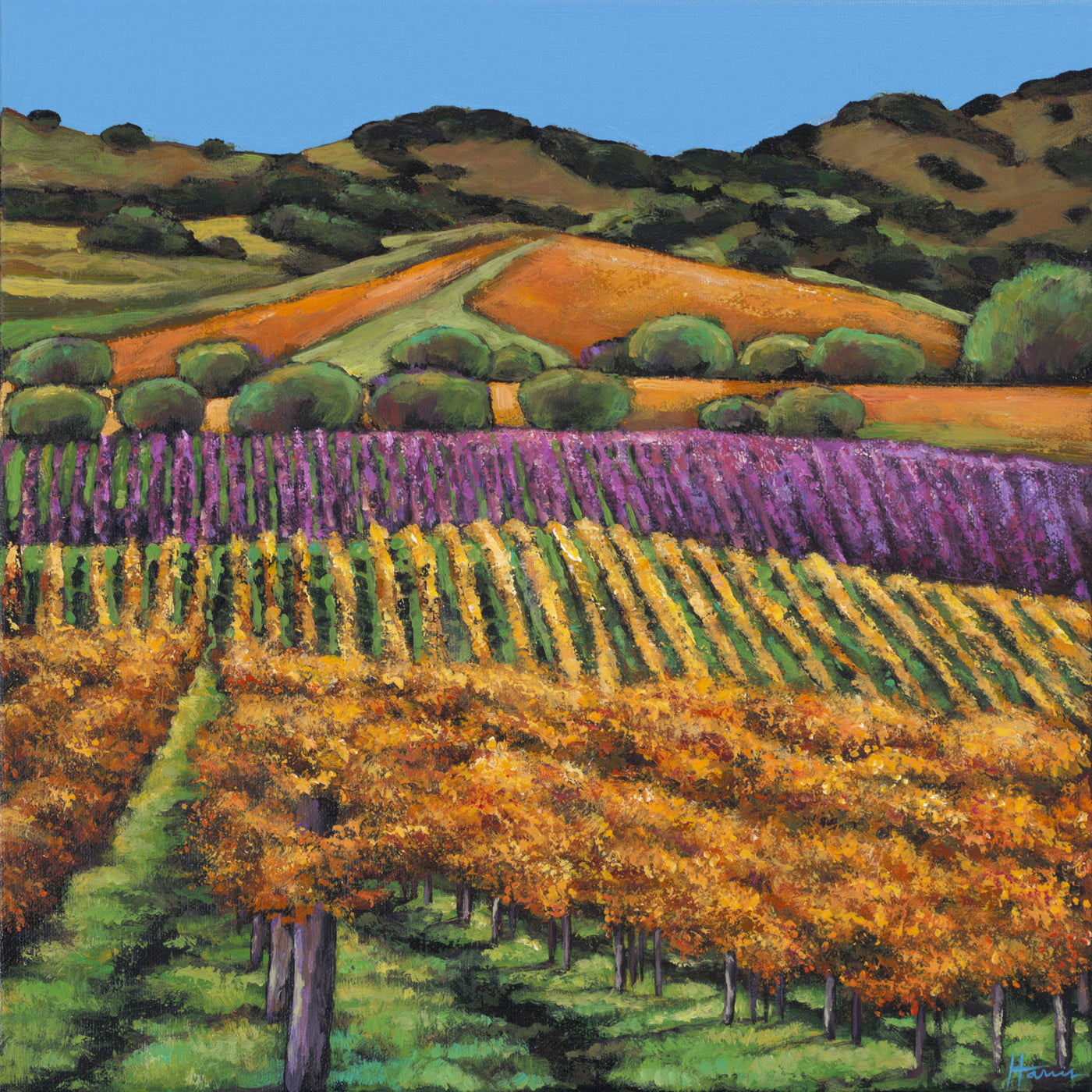 Napa